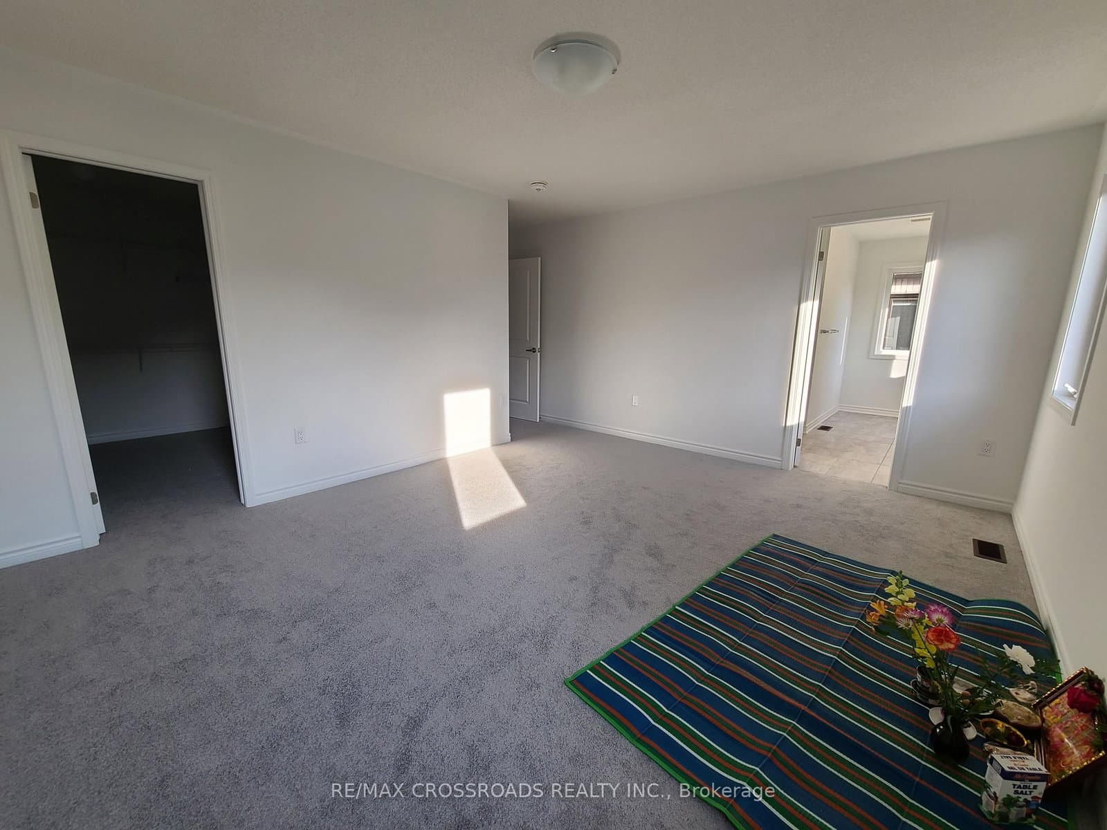 2916 Scotch Pine Lane thumbnail 13