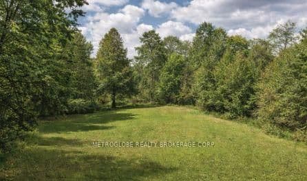 5970 Rutherford Road thumbnail 7