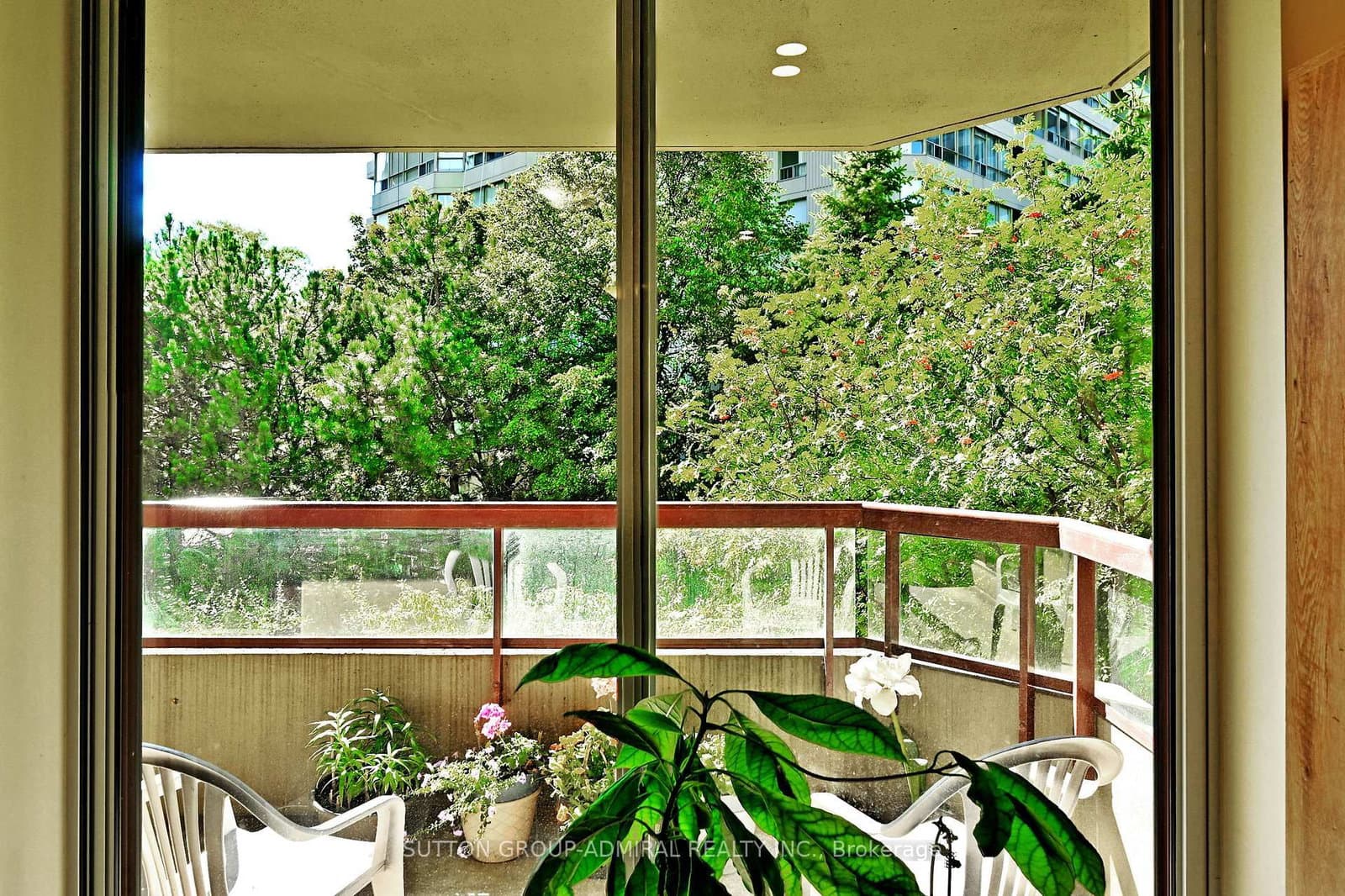 91 Townsgate Drive, Unit 203 thumbnail 41