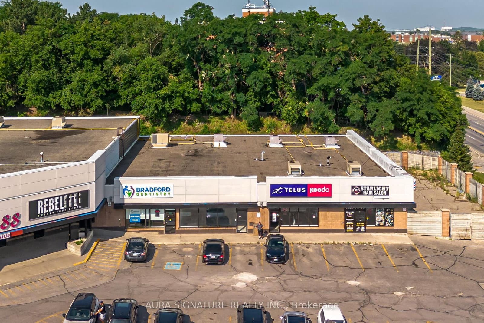 186 Holland Street W thumbnail 2