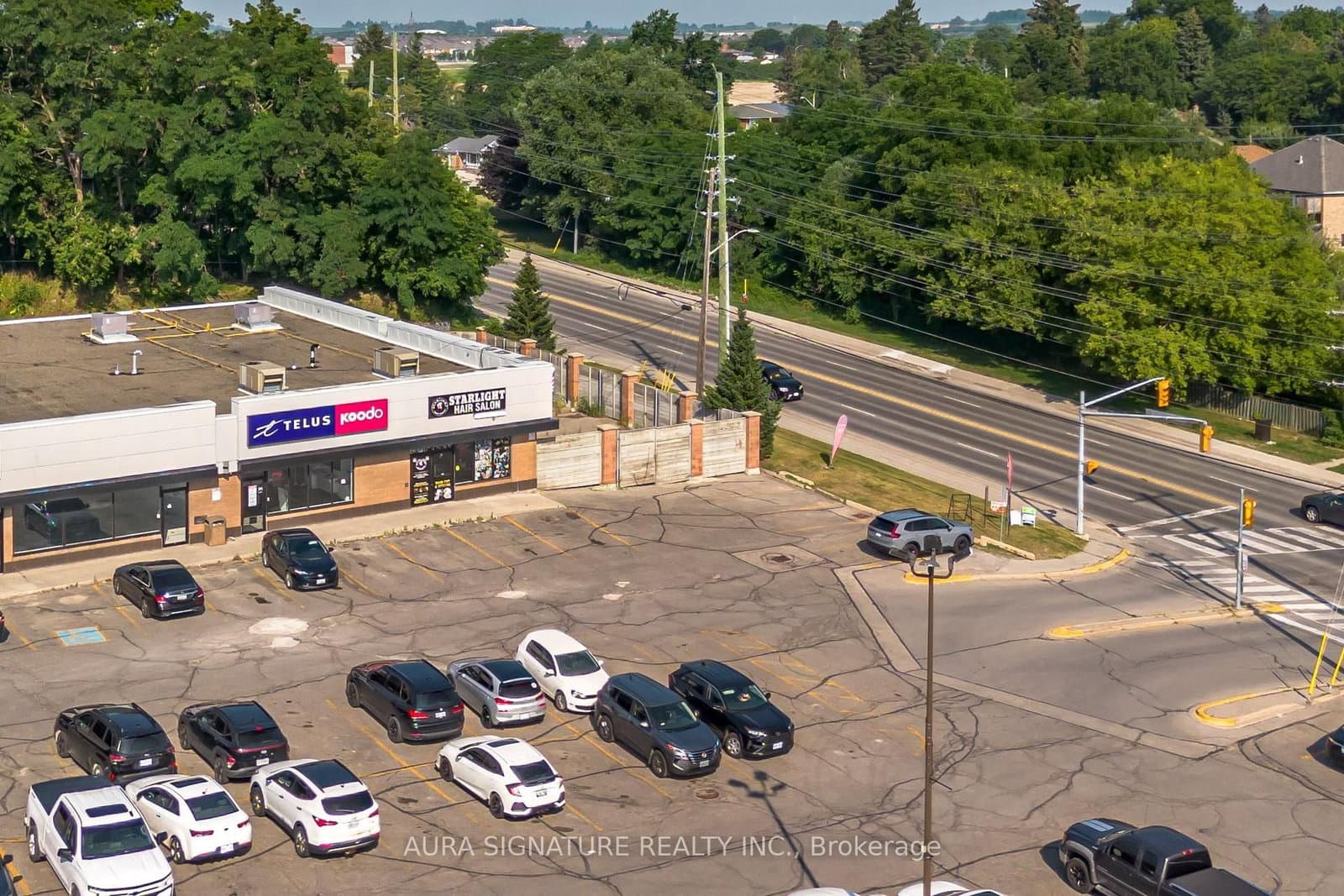 186 Holland Street W thumbnail 4