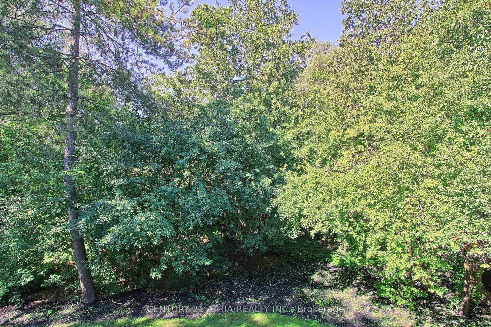 27 Anderson Place thumbnail 16