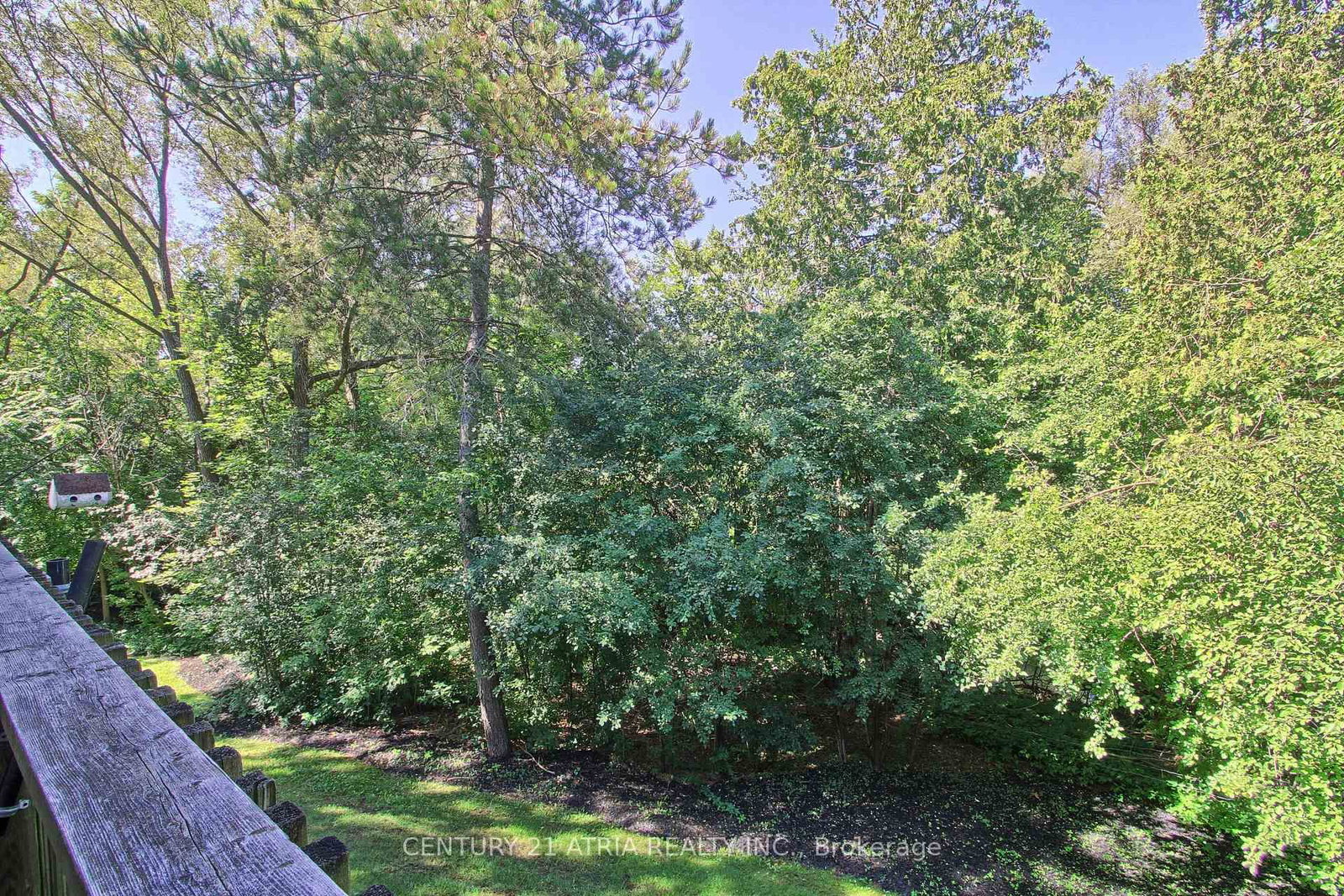 27 Anderson Place thumbnail 17