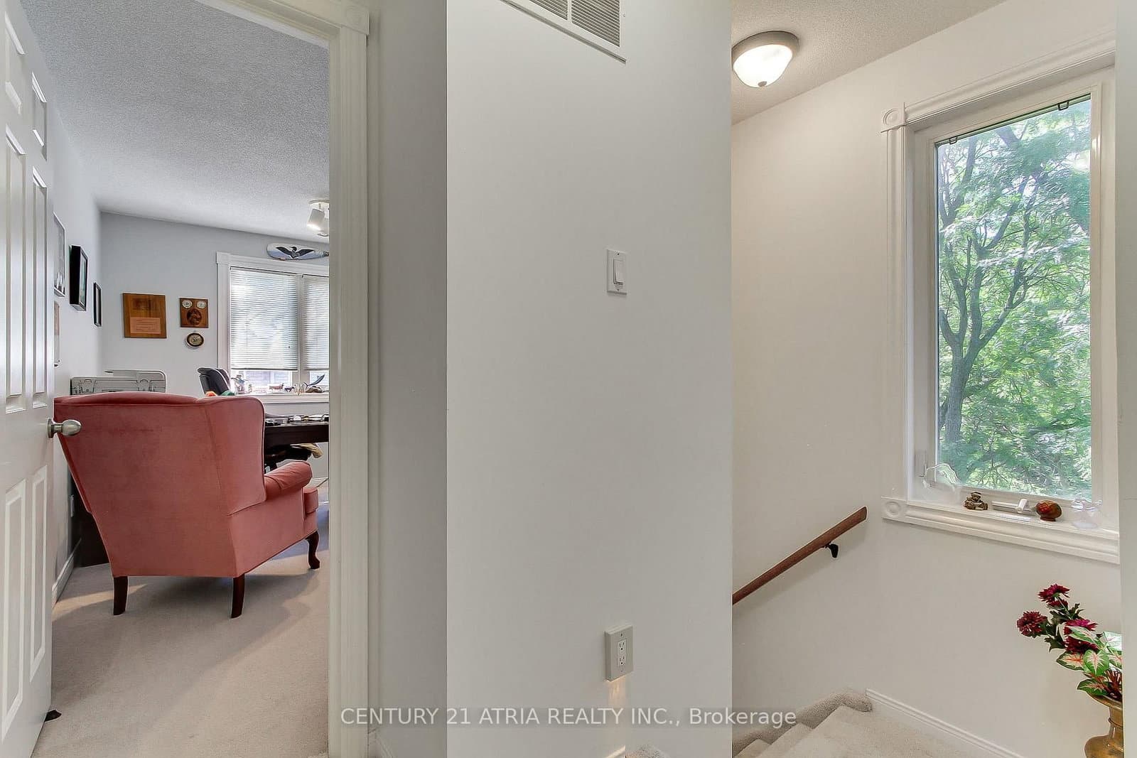 27 Anderson Place thumbnail 19