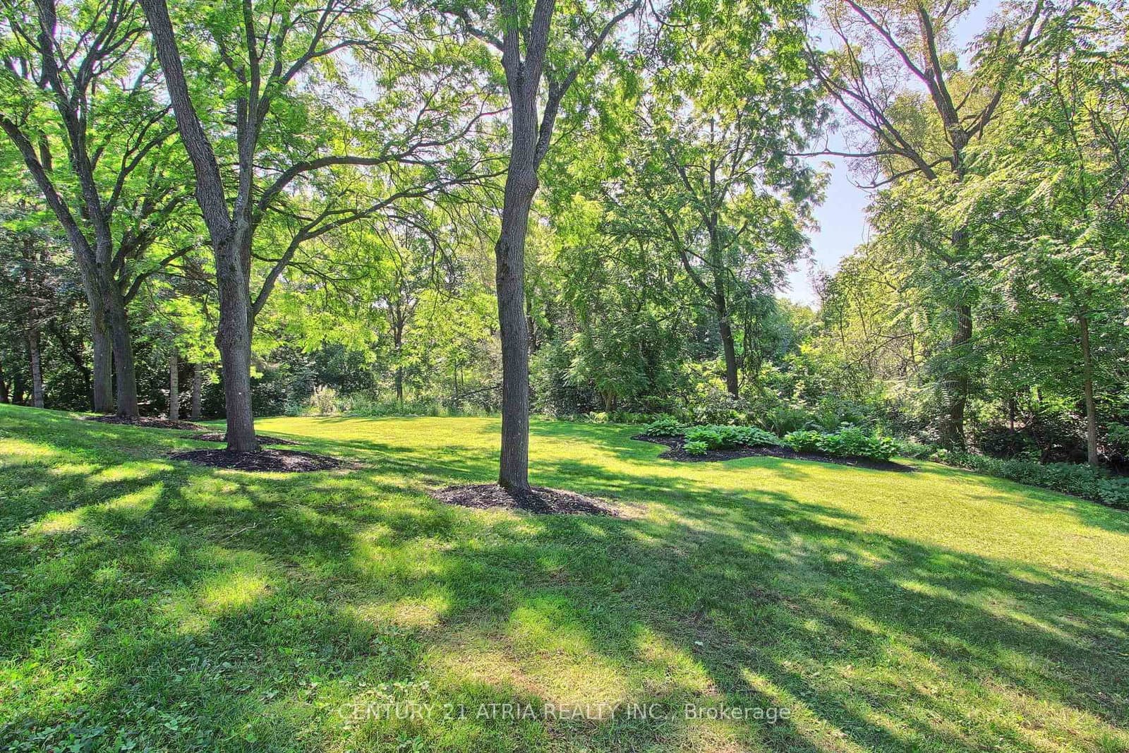 27 Anderson Place thumbnail 37