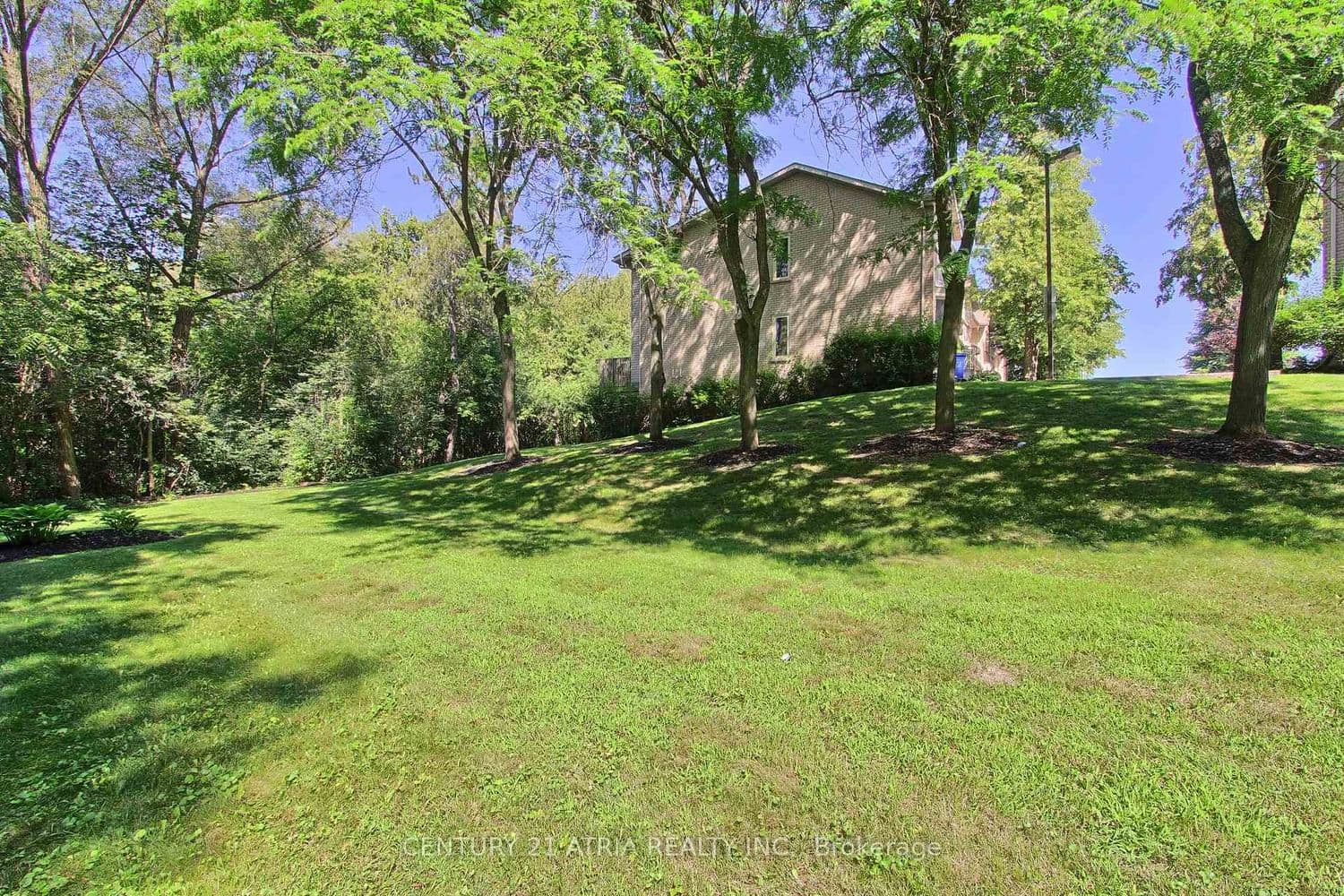 27 Anderson Place thumbnail 39