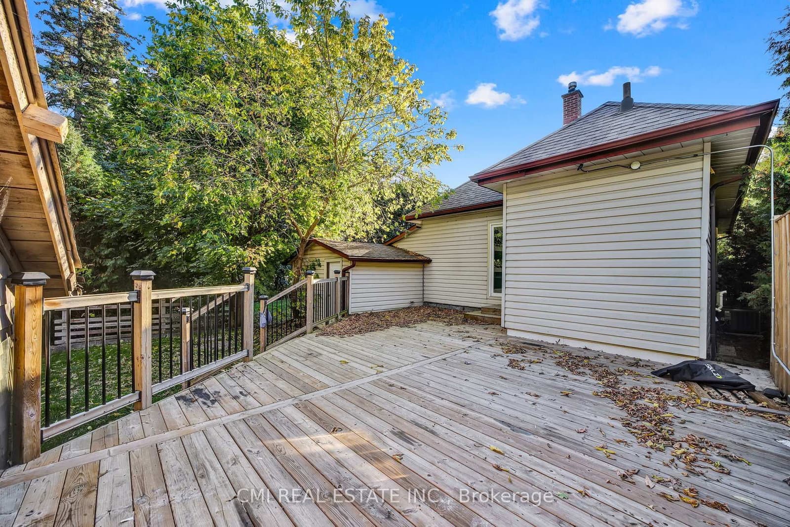 153 Clarence Street thumbnail 43