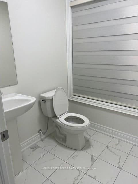 161 Rowe Street thumbnail 9