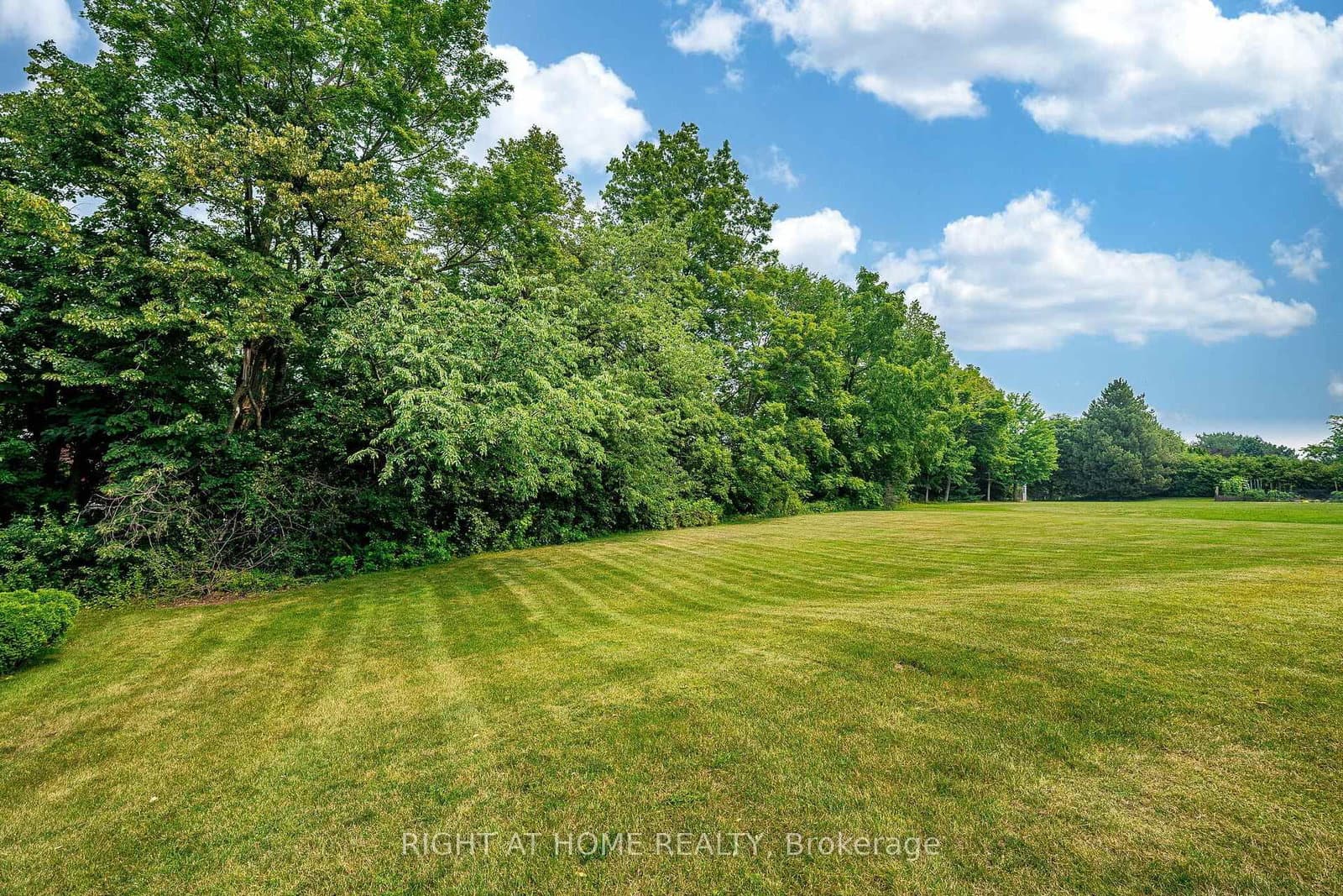 9 Glenridge Drive thumbnail 41
