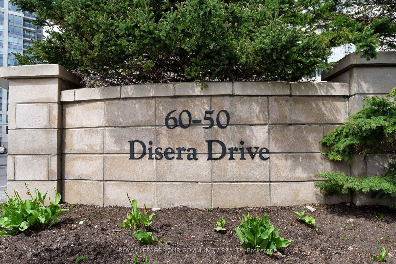 50 Disera Drive, Unit 215 thumbnail 3