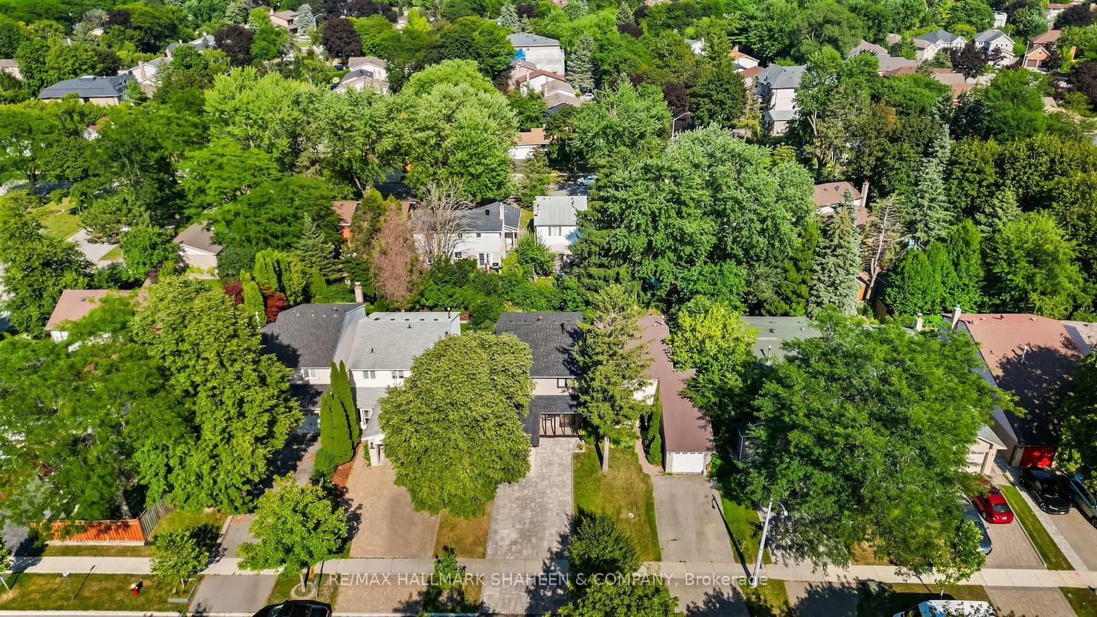 184 Castle Rock Drive thumbnail 5