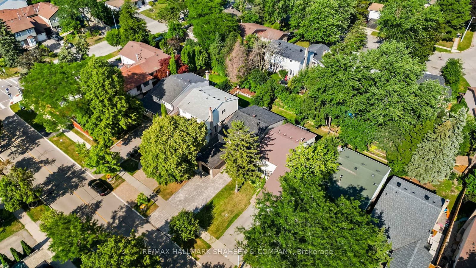 184 Castle Rock Drive thumbnail 6