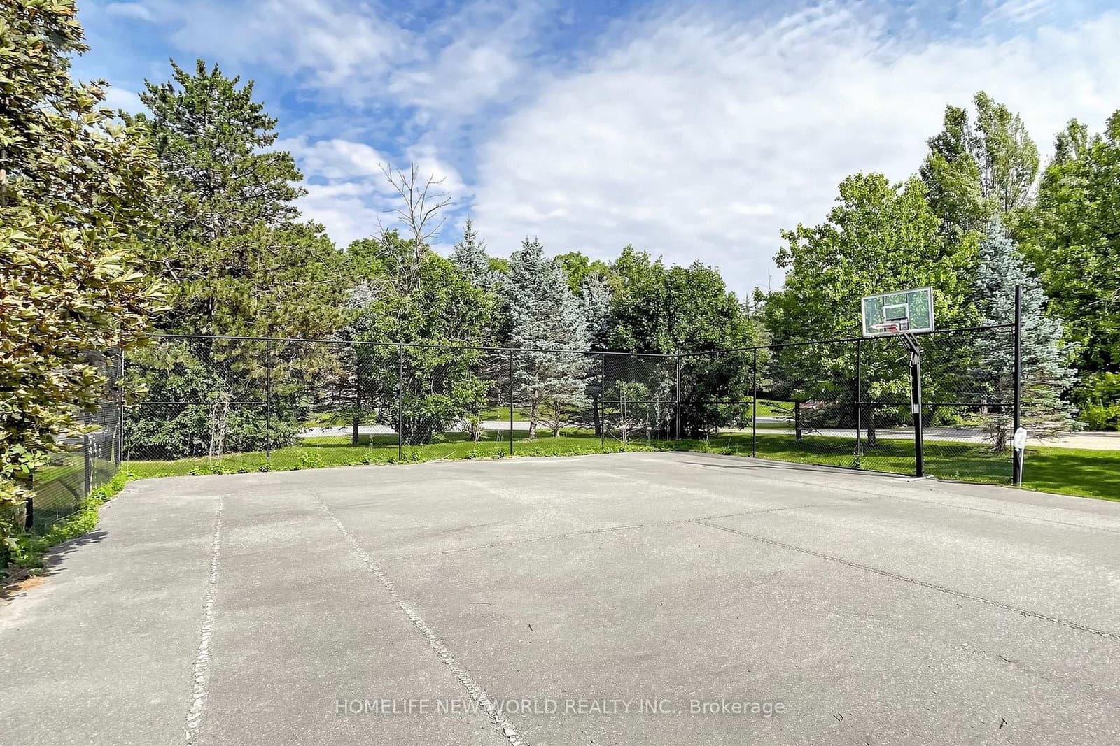 27 Walnut Glen Place thumbnail 46