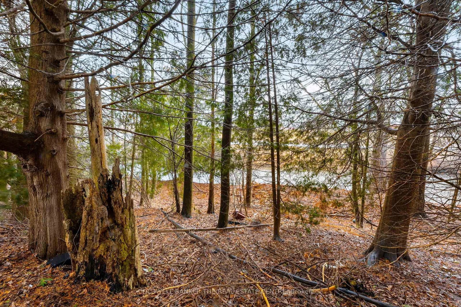 285 Crydermans Side Road, Unit 409 thumbnail 34