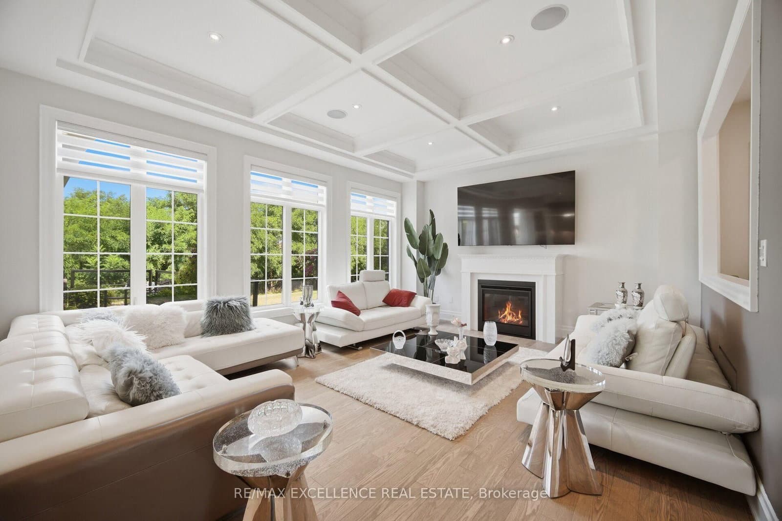319 Torrey Pines Road thumbnail 9