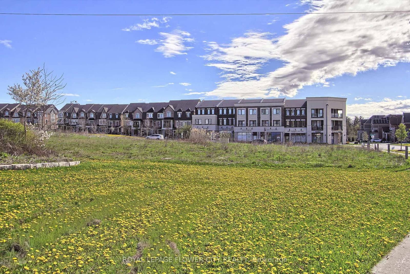 105 Morning Sparrow Drive thumbnail 48