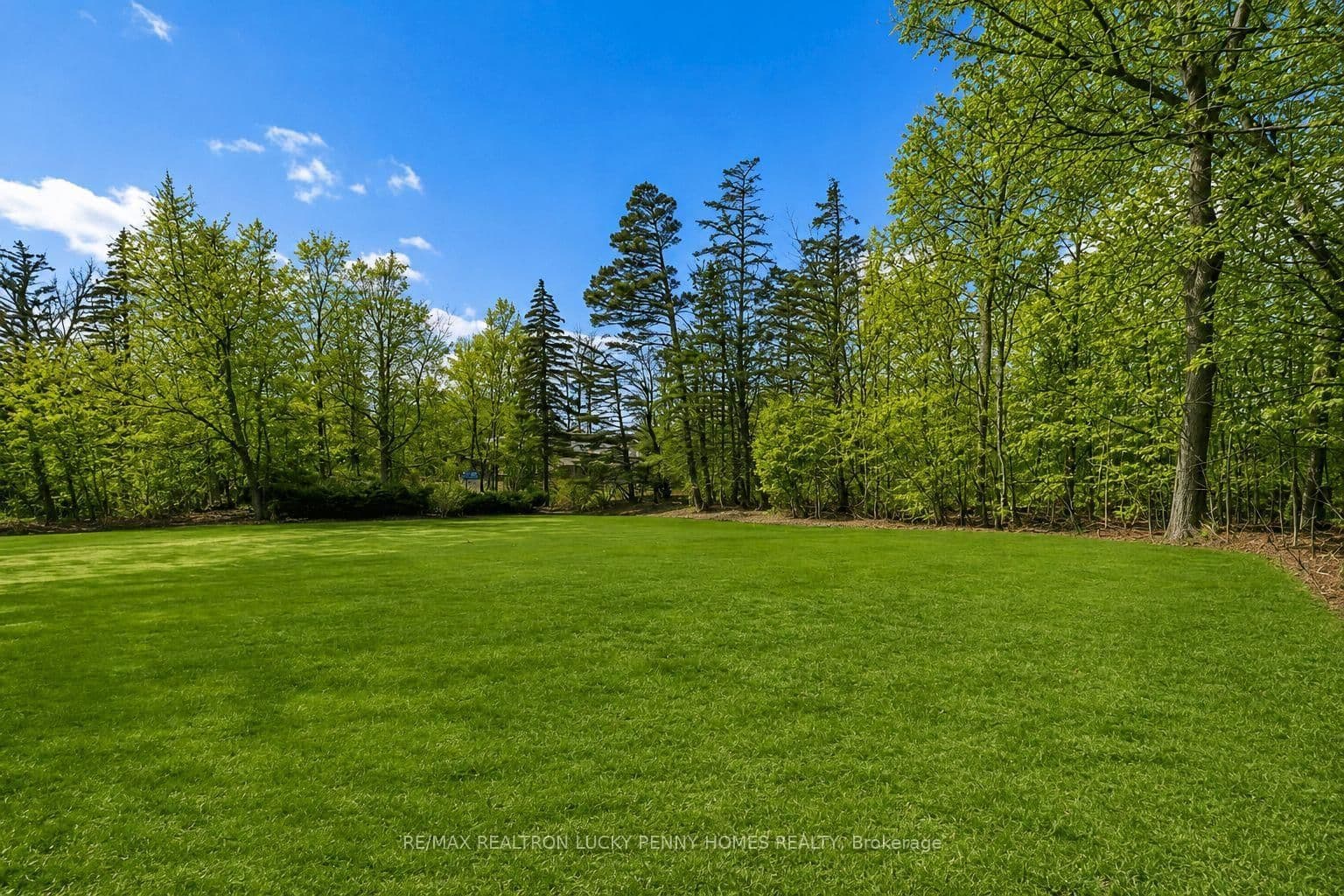 18 Walnut Glen Place thumbnail 42
