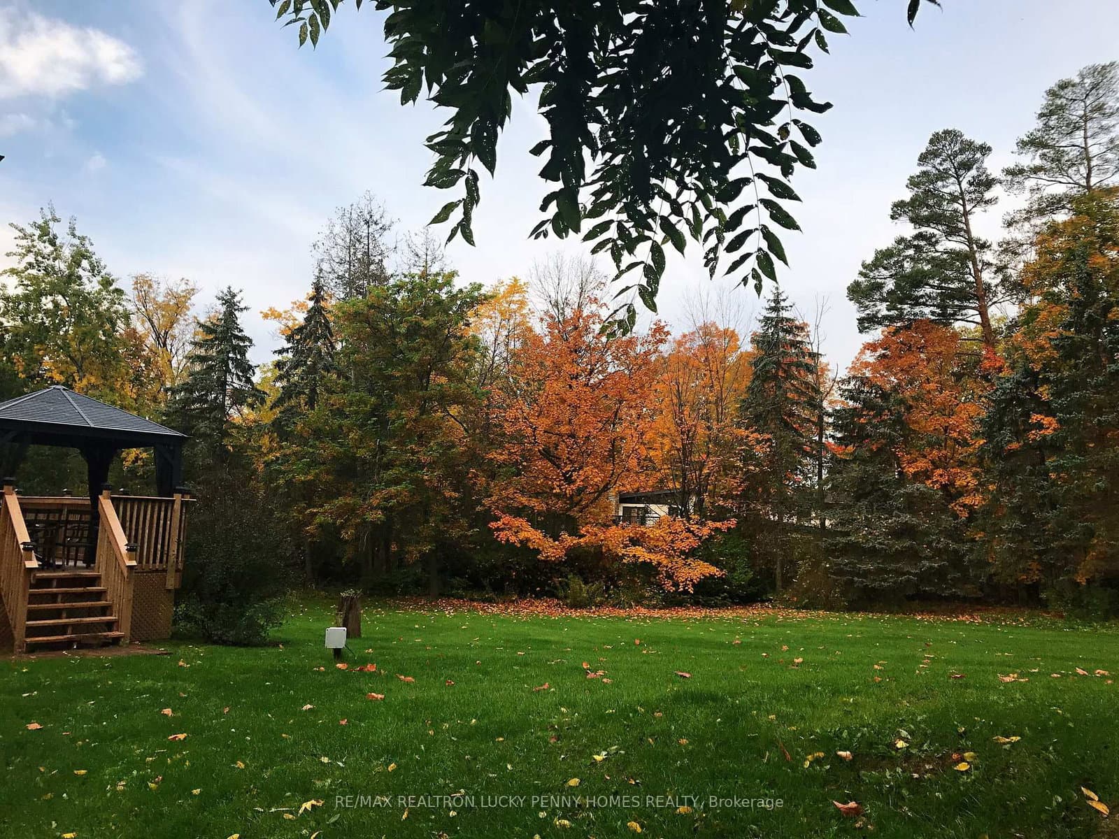 18 Walnut Glen Place thumbnail 45