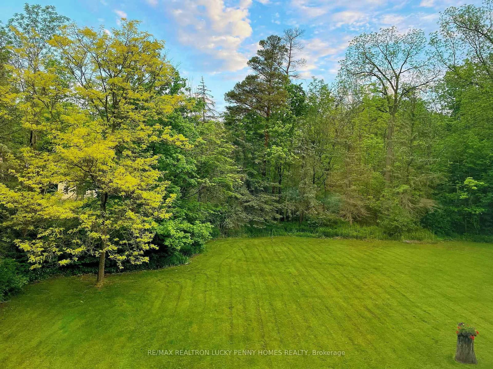 18 Walnut Glen Place thumbnail 46