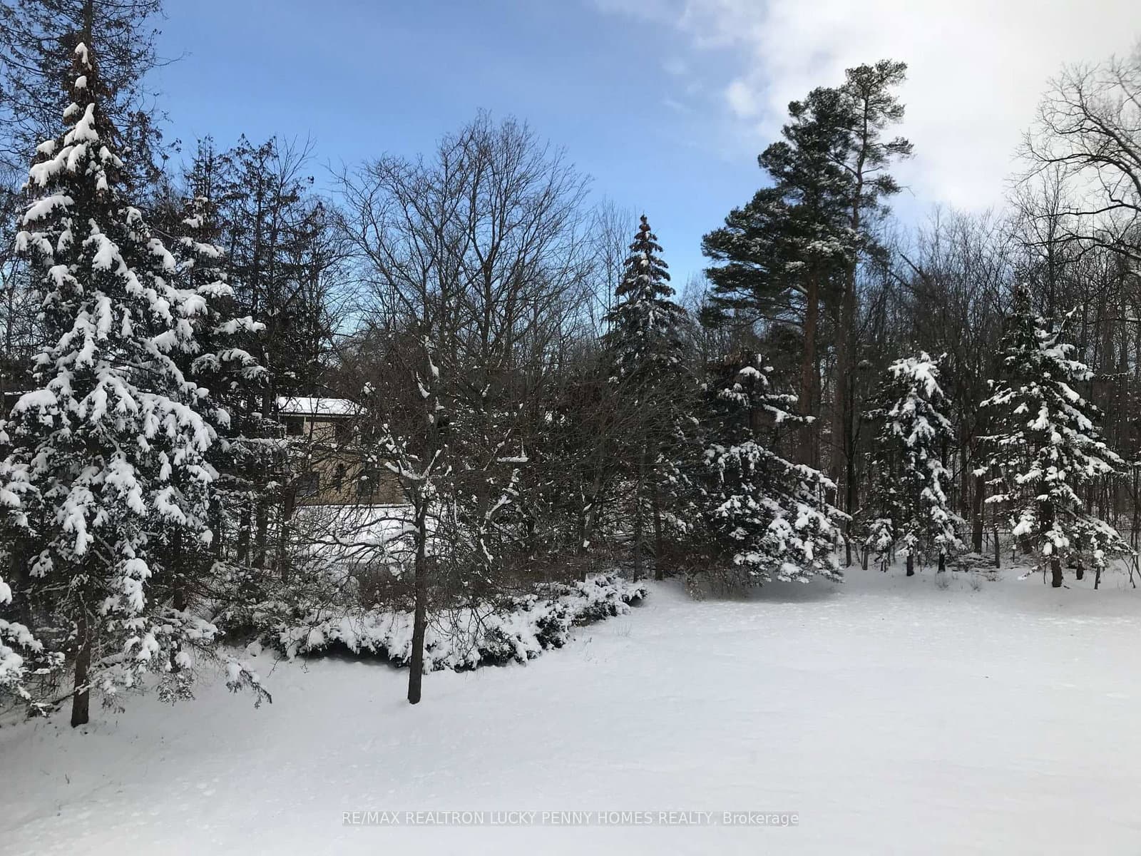 18 Walnut Glen Place thumbnail 47