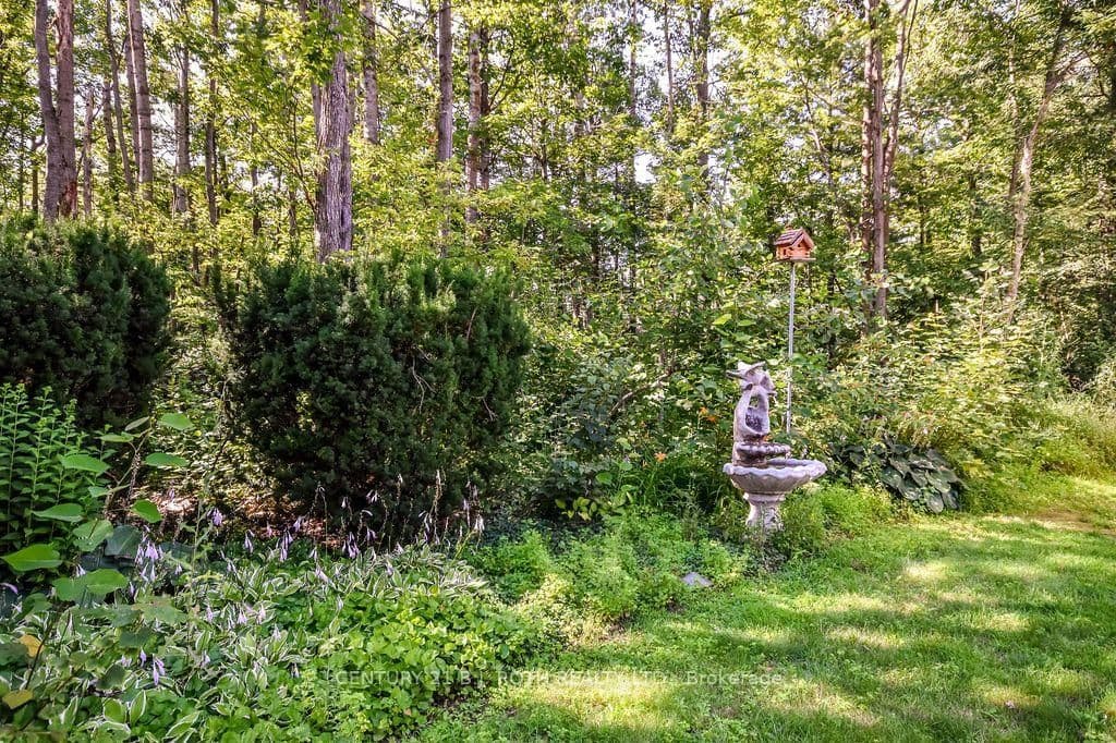 1078 Sunnidale Road thumbnail 43