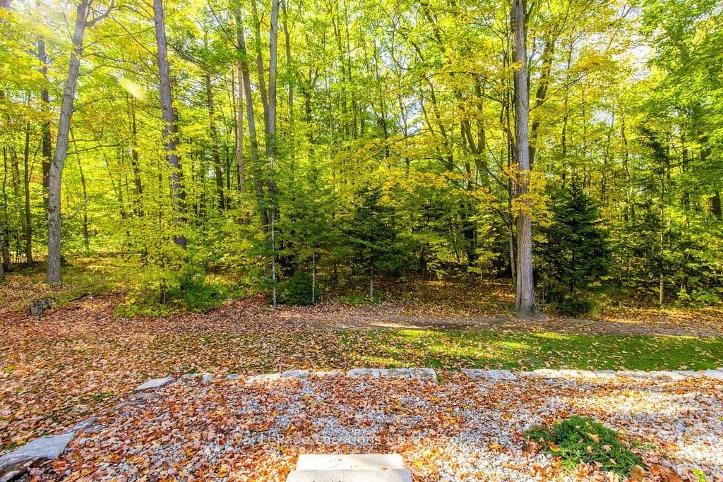 545 Oxbow Park Drive thumbnail 31