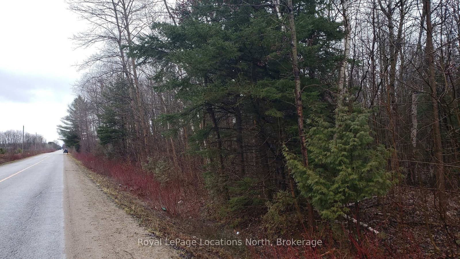 6125 Second Concession Road thumbnail 2