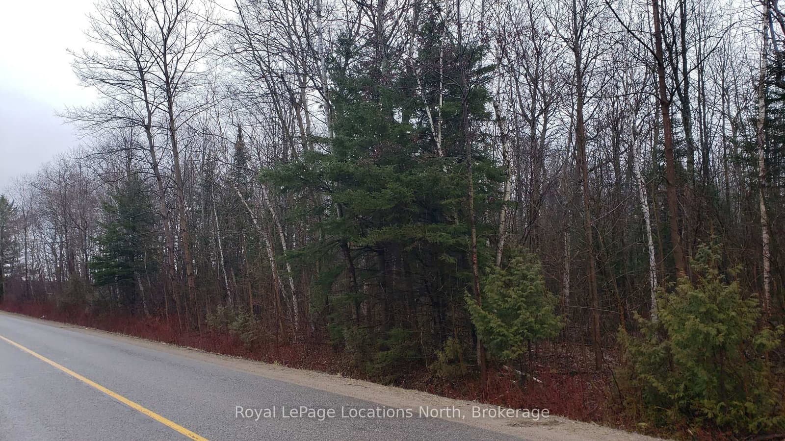 6125 Second Concession Road thumbnail 3