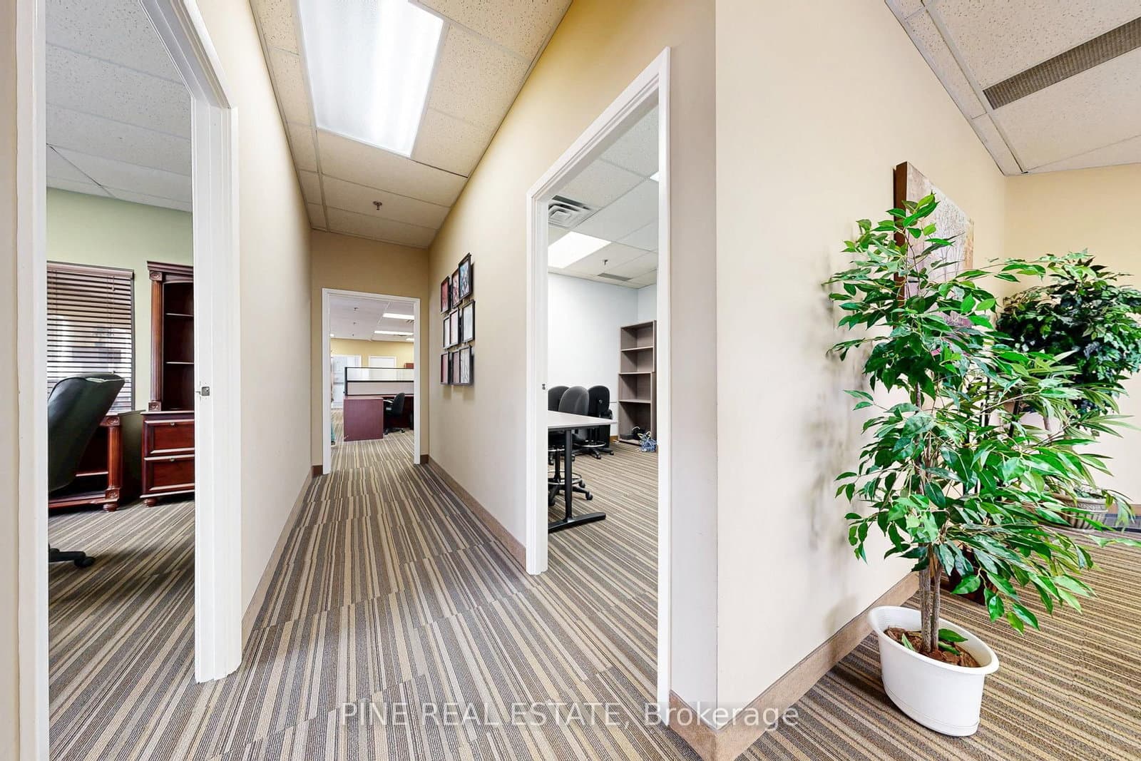 61 Advance Road, Unit 9 thumbnail 18