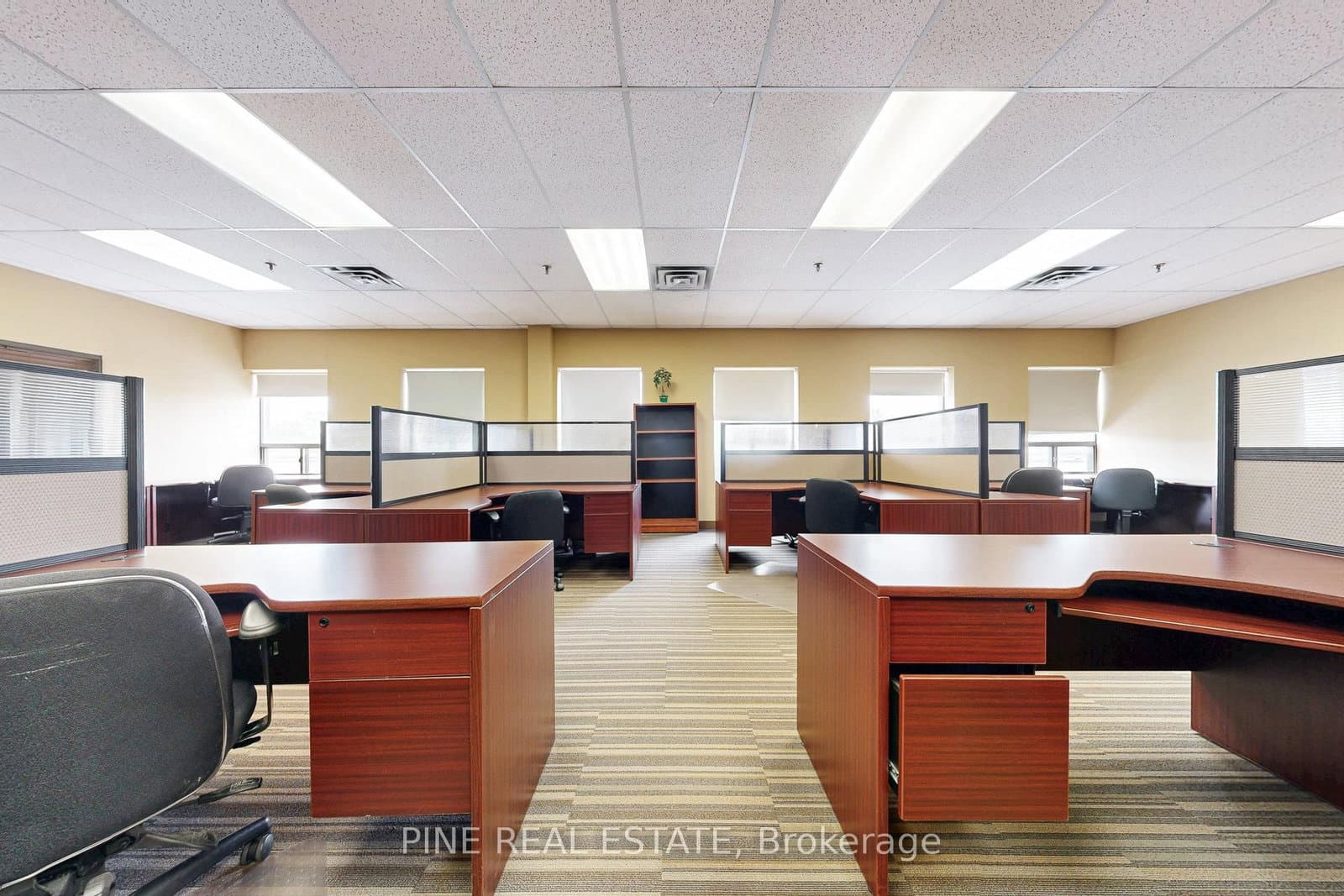 61 Advance Road, Unit 9 thumbnail 23