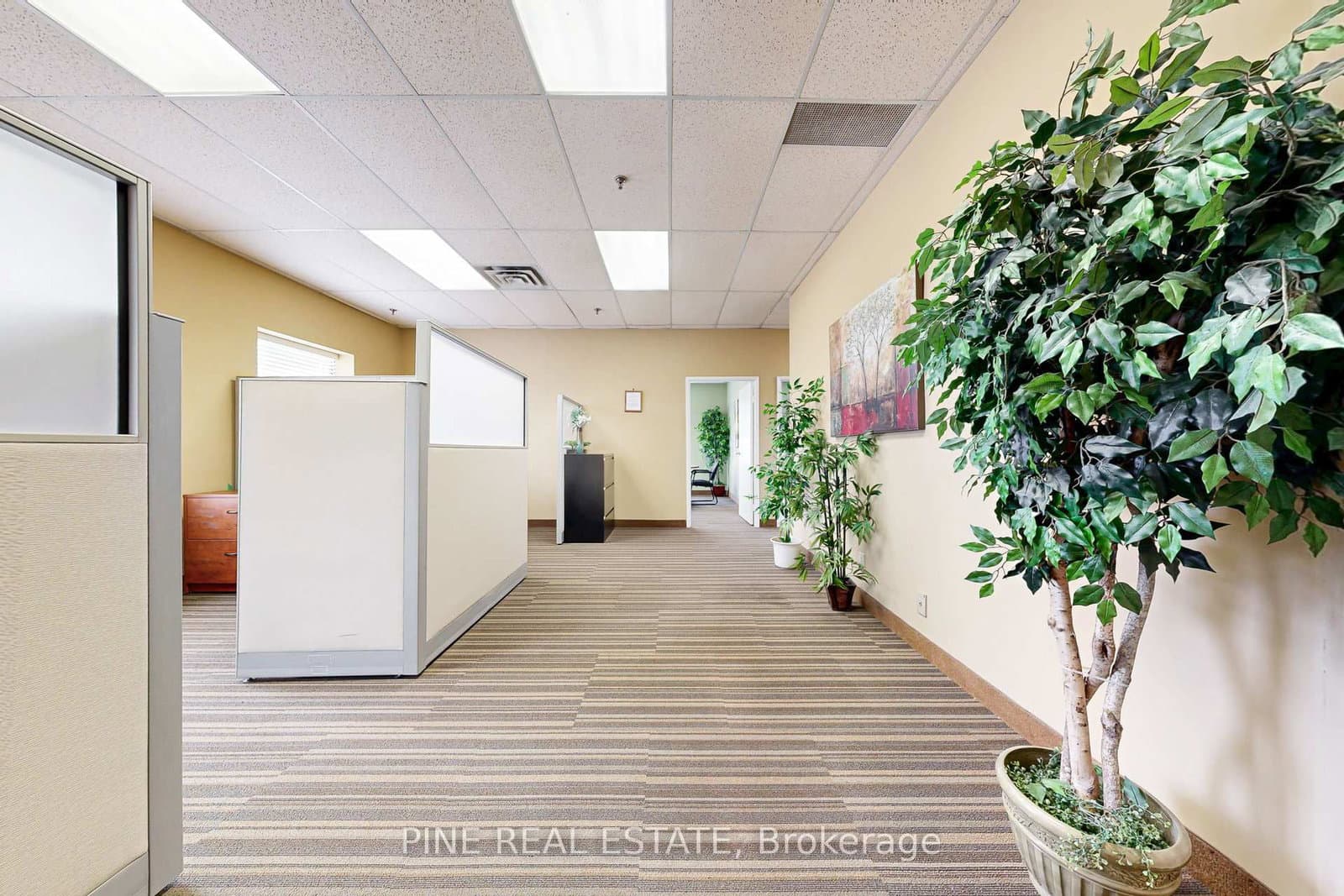 61 Advance Road, Unit 9 thumbnail 3