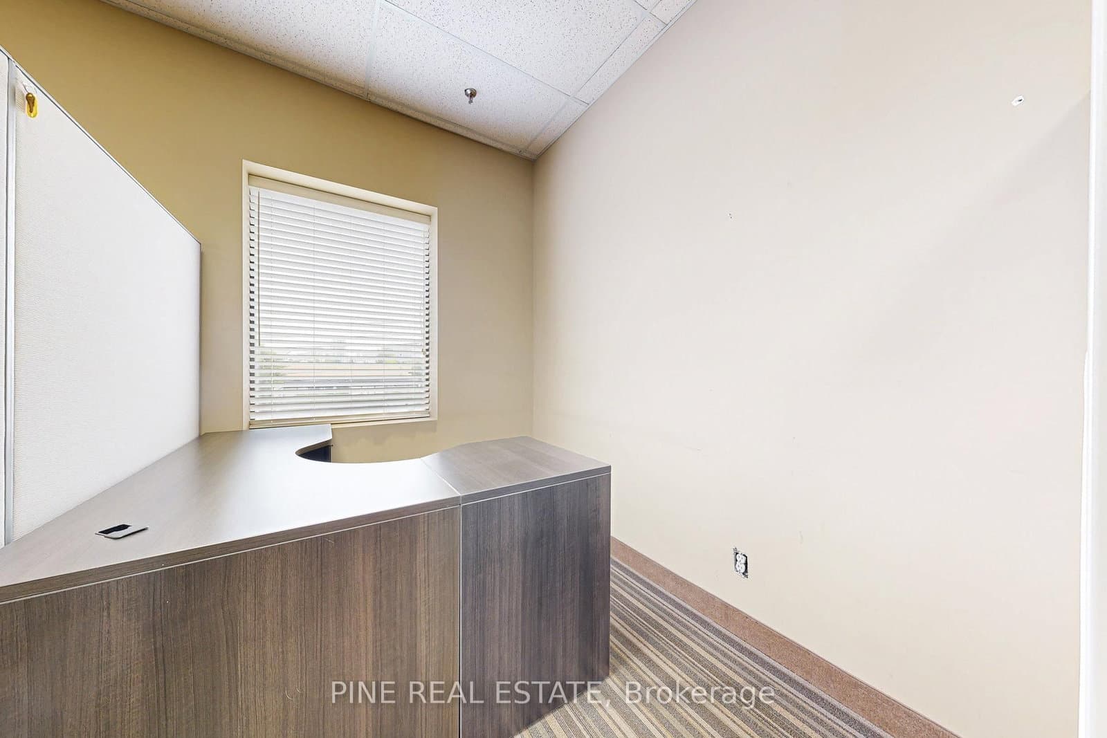 61 Advance Road, Unit 9 thumbnail 9