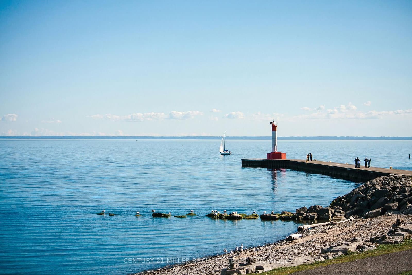 Lot 101 Douglas Avenue thumbnail 16