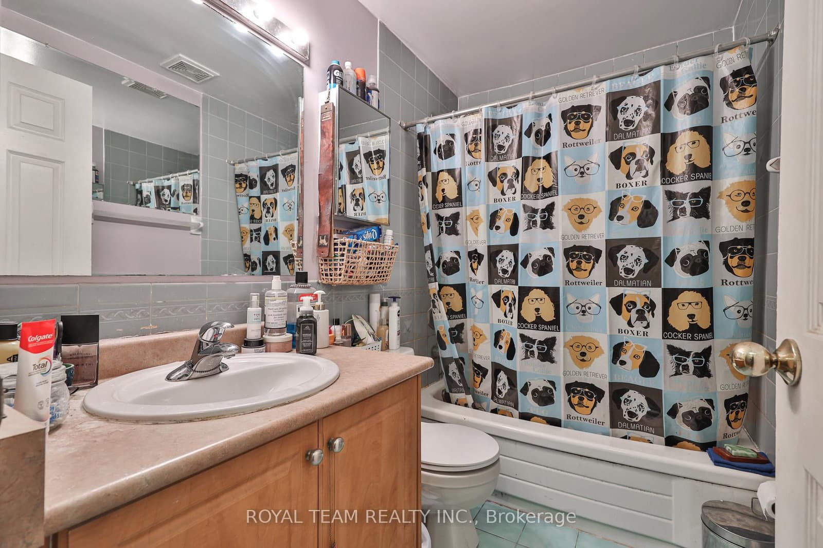54 Maher Avenue thumbnail 42