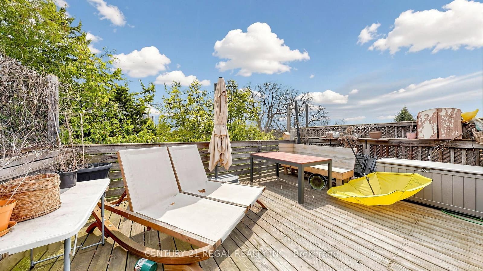 26 MACDONELL Avenue thumbnail 30