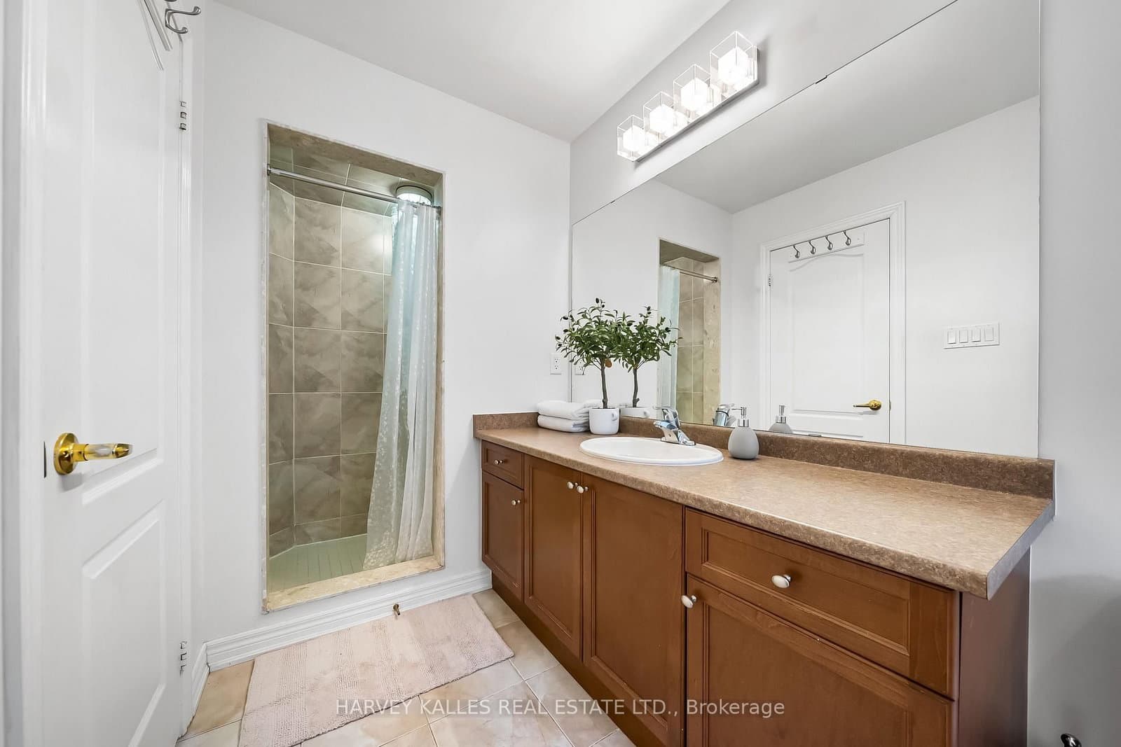 36 Boundbrook Drive thumbnail 28