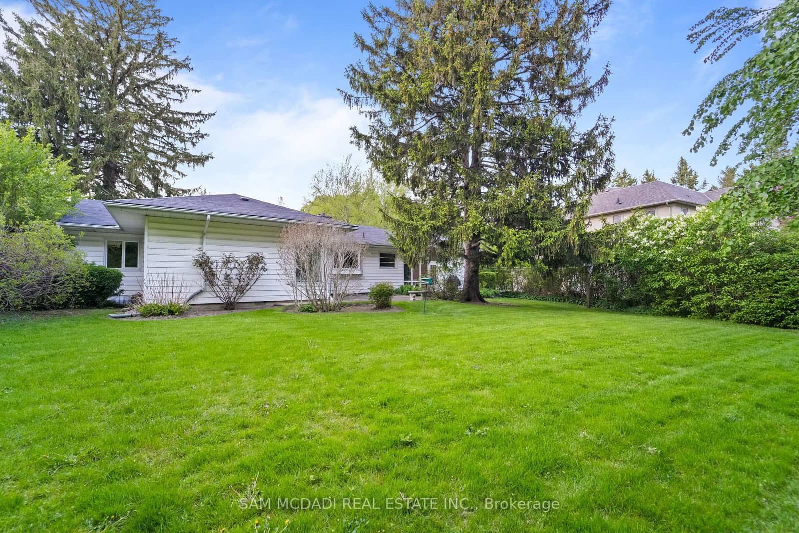 512 Bob O Link thumbnail 7