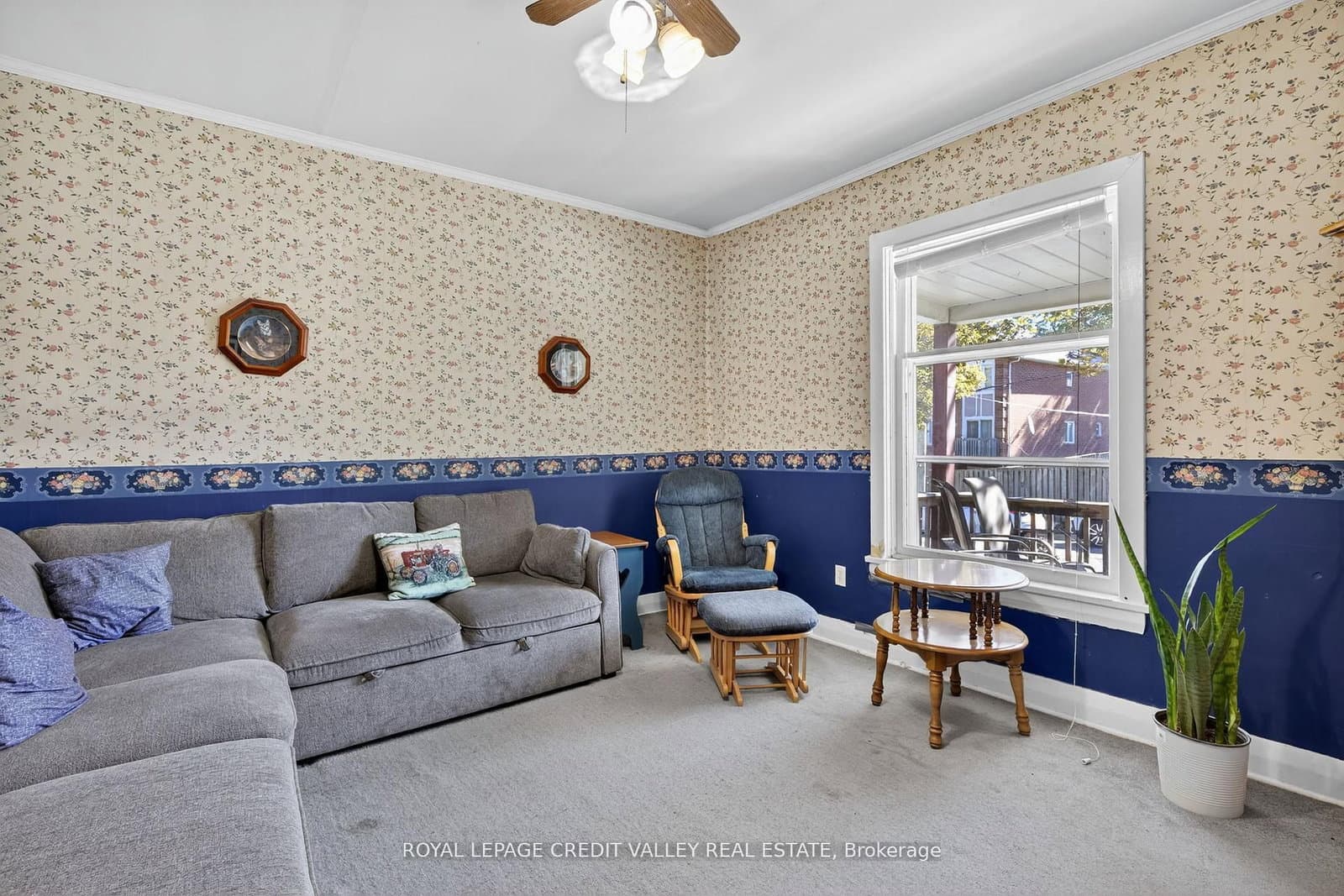 34 Joseph Street thumbnail 11