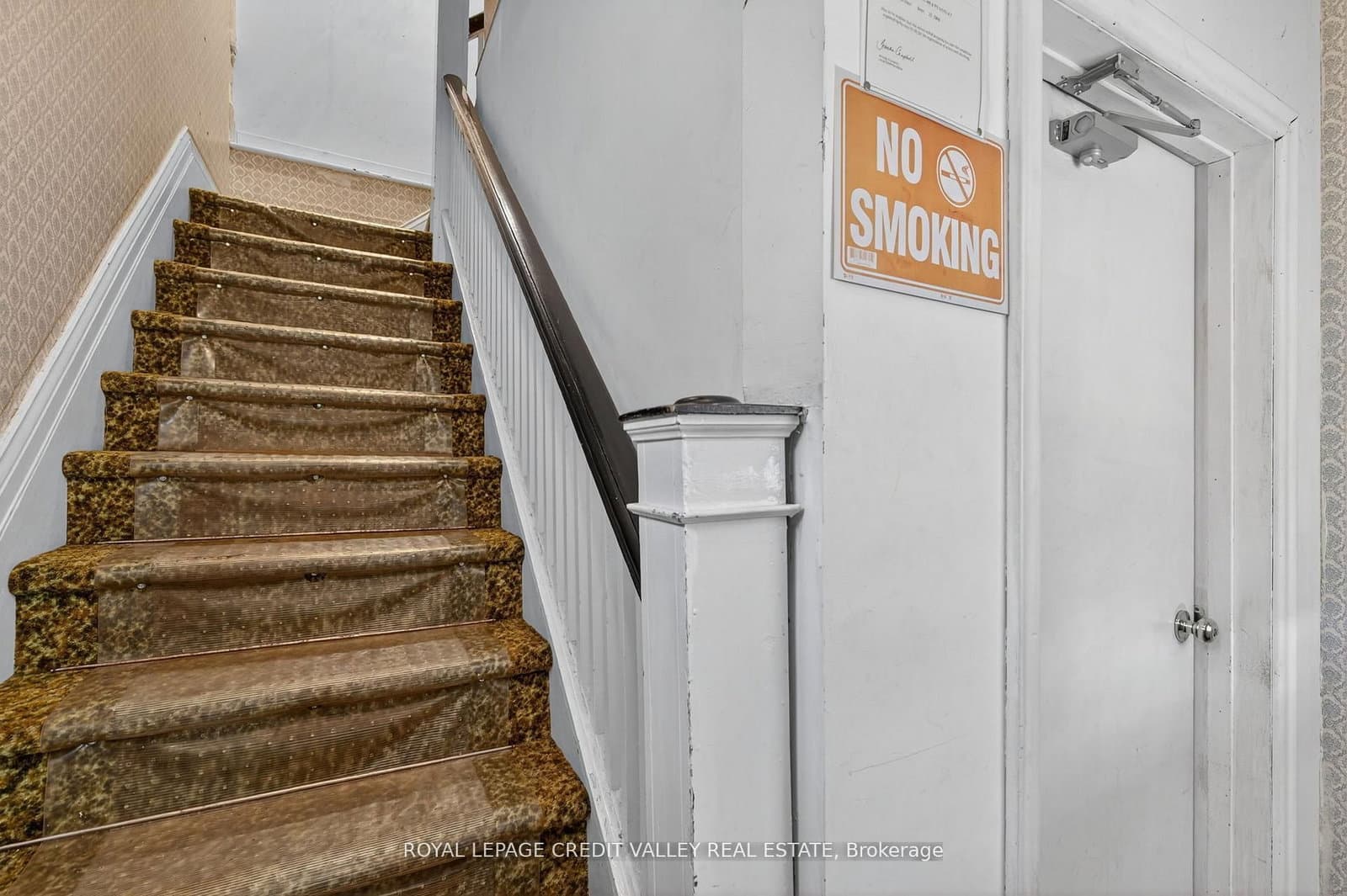 34 Joseph Street thumbnail 9