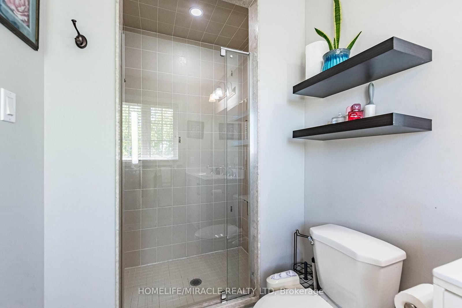 244 ANDREWS Trail thumbnail 26
