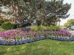 284 Mill Road, Unit PH 8 thumbnail 55