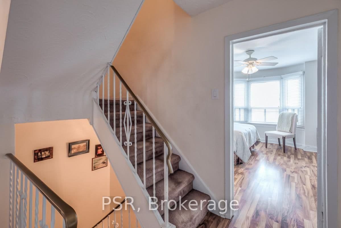 41 Springhurst Avenue thumbnail 22