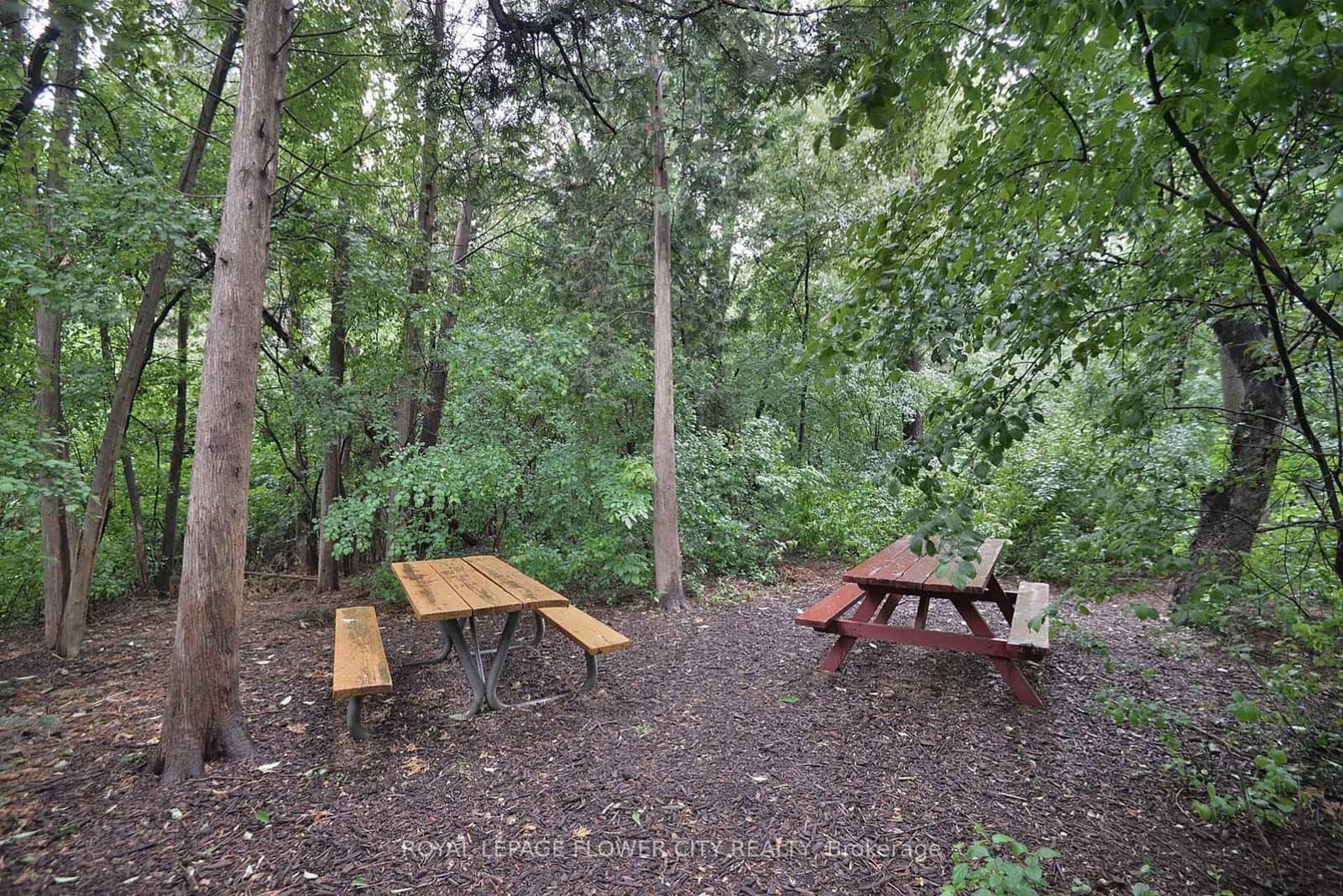 8 Lisa Street, Unit 307 thumbnail 50