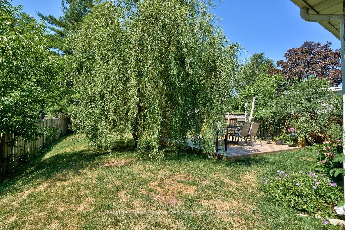 461 Maple Avenue thumbnail 5