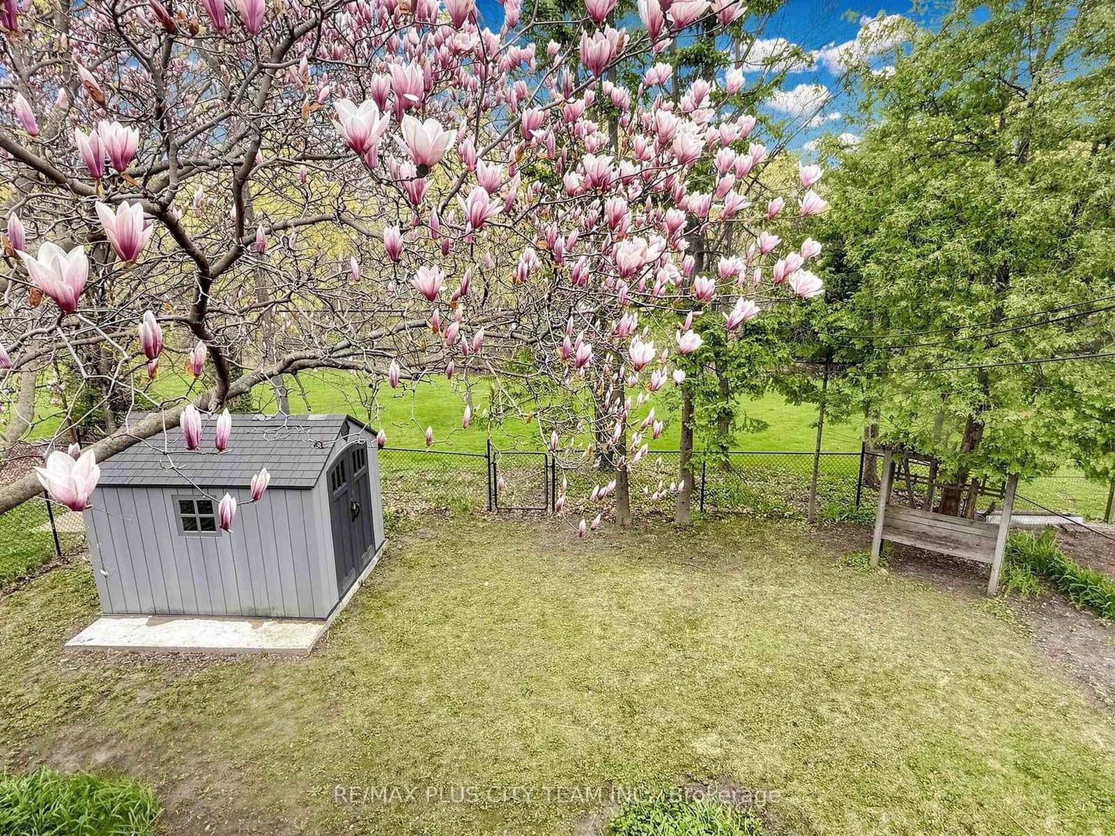 260 Renforth Drive thumbnail 38