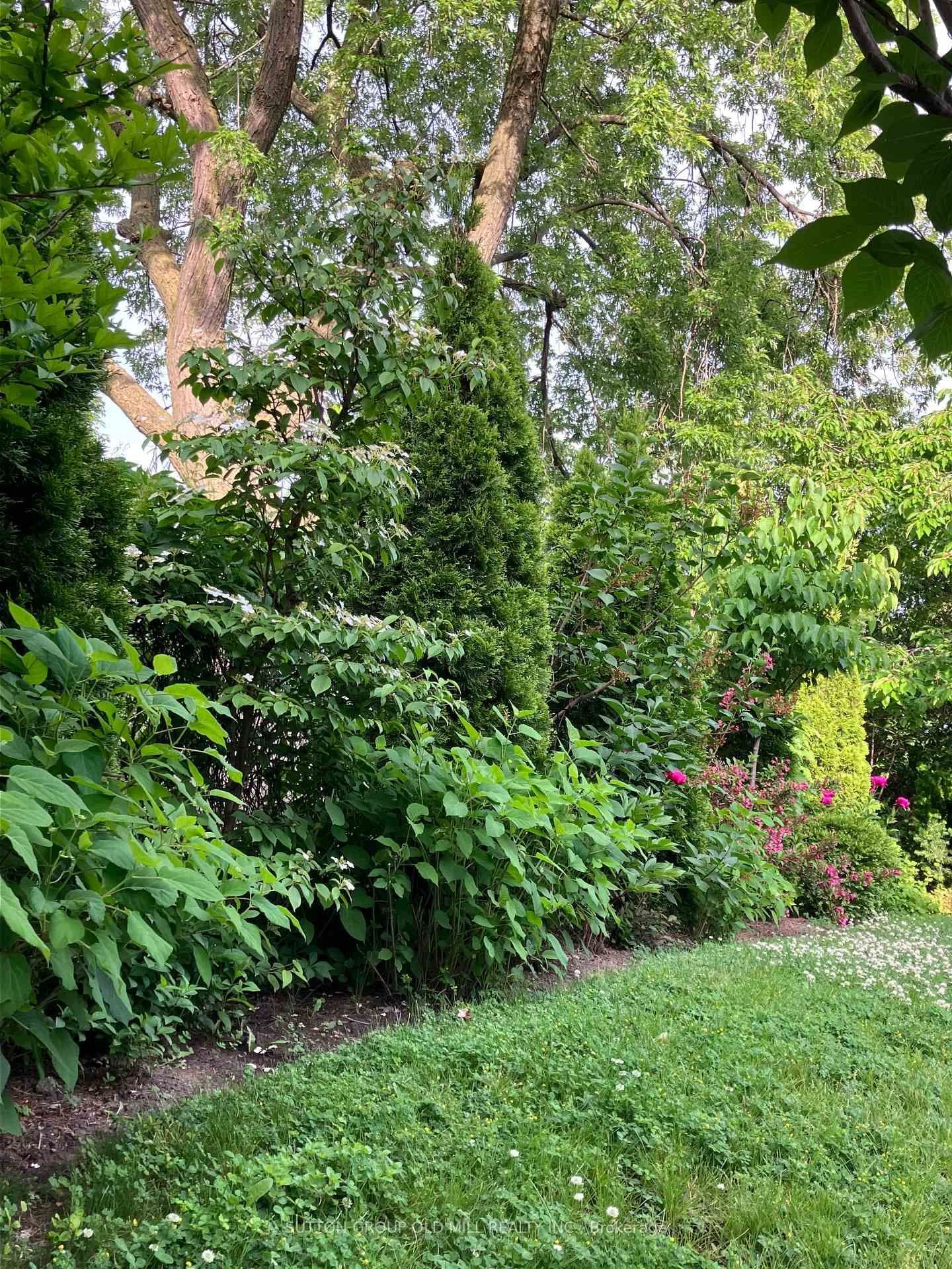 2811 Constable Road thumbnail 34