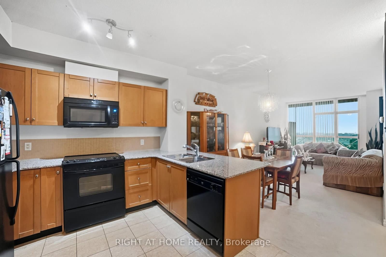 1359 E Rathburn Road E, Unit 1007 thumbnail 7