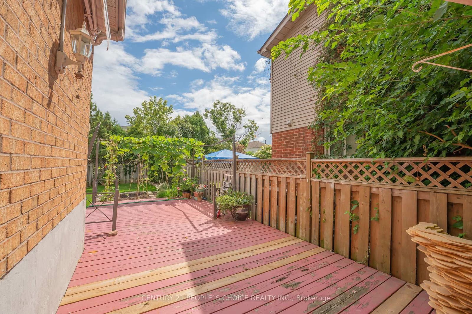 2247 Silverbirch Court thumbnail 44