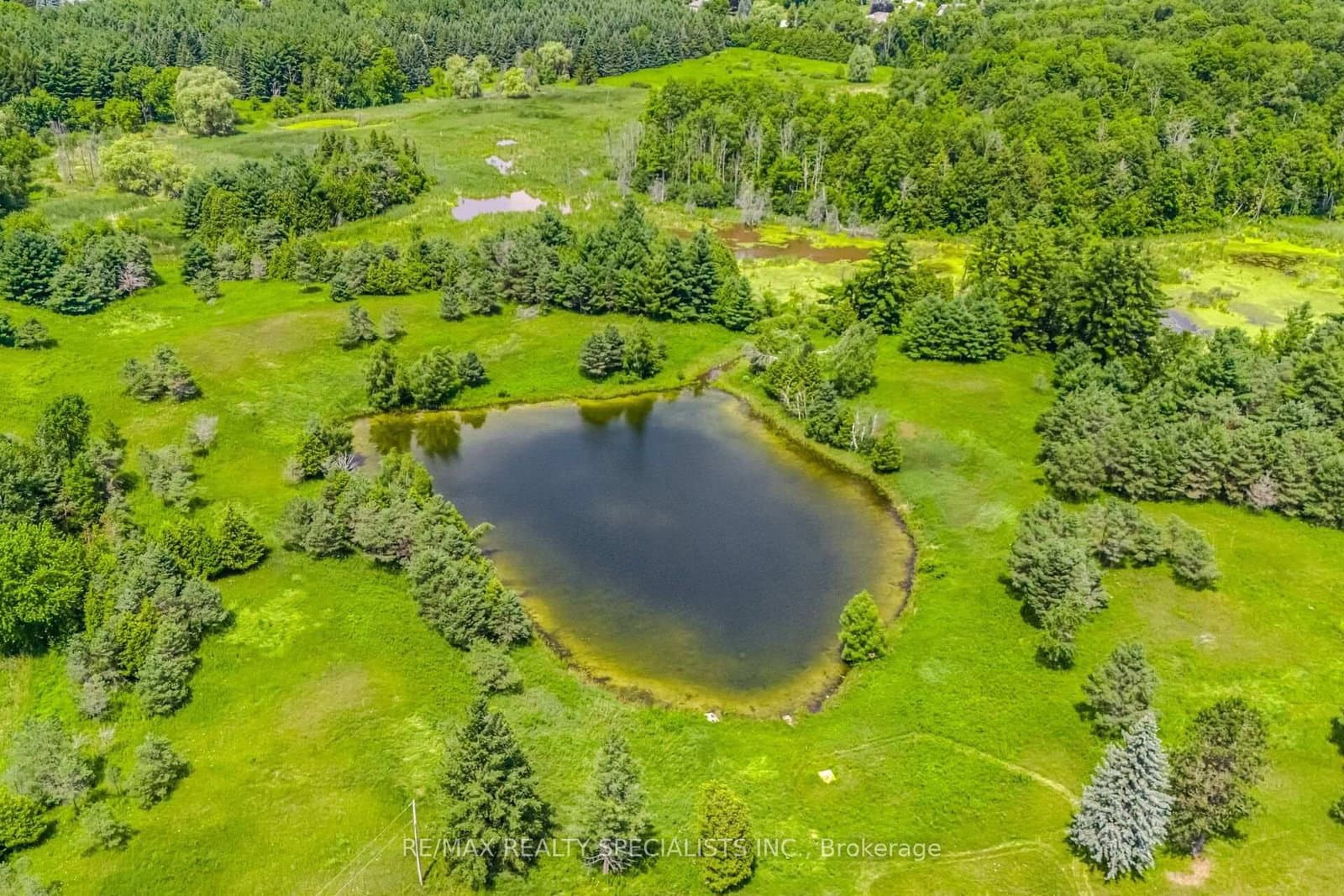 15441 Mount Pleasant Road thumbnail 10