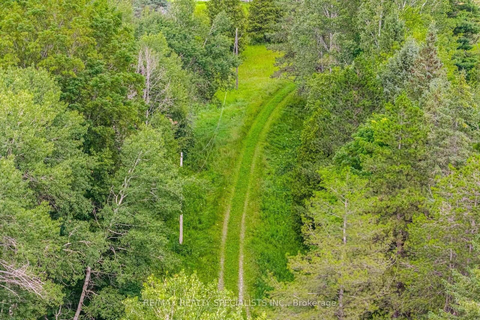 15441 Mount Pleasant Road thumbnail 14
